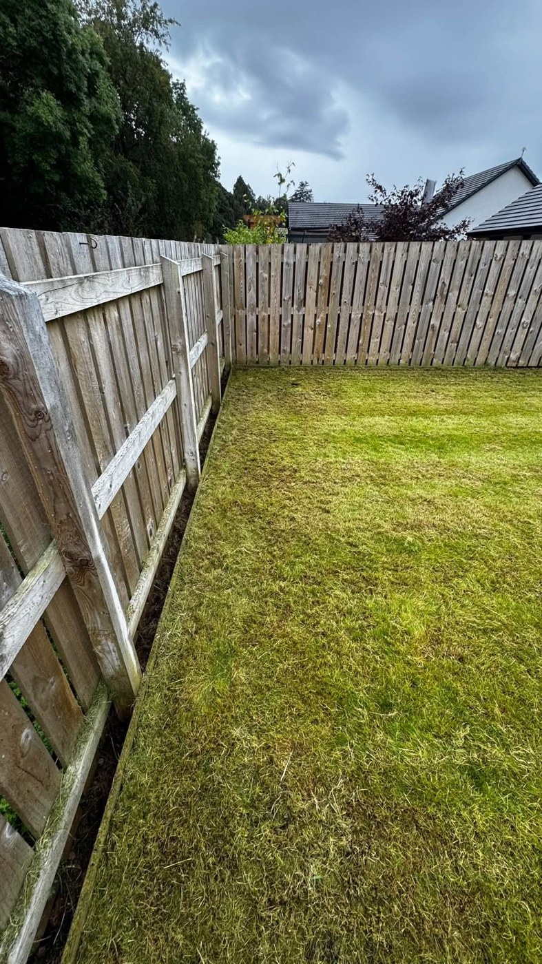A freshly maintained lawn from LPM’s previous work